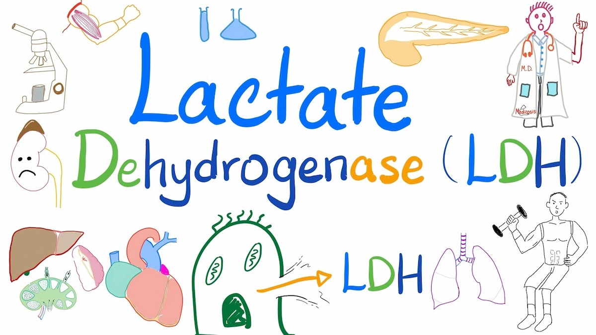 بالا بودن ldh در آزمایش خون