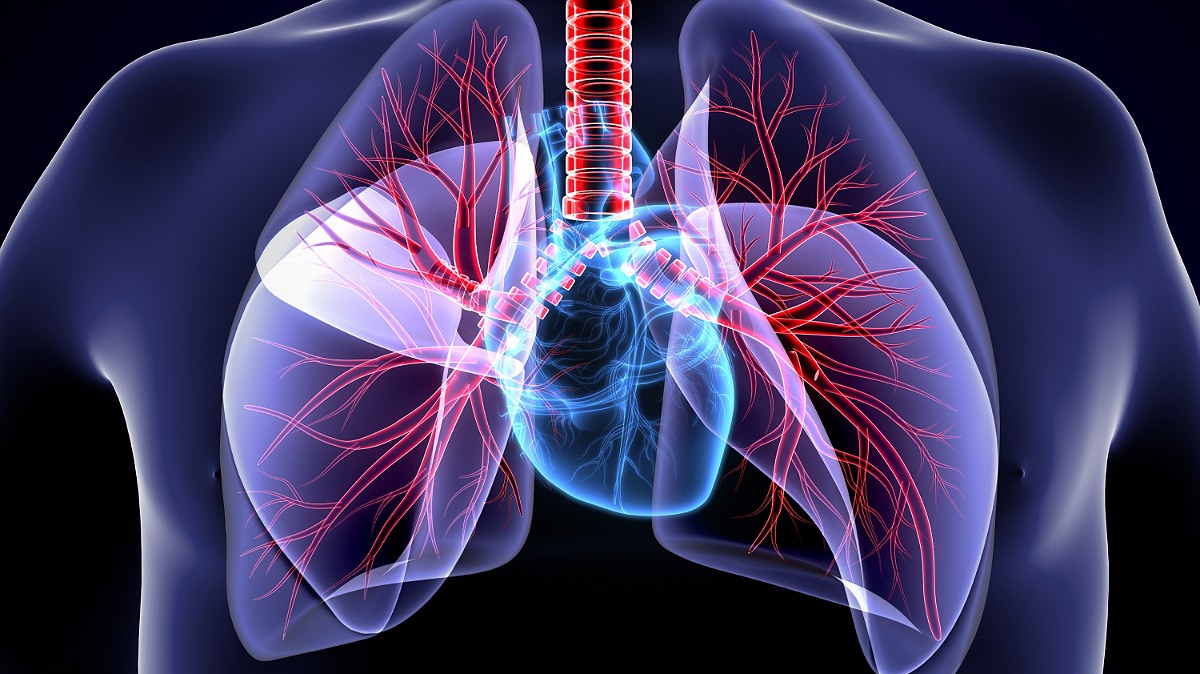 هزینه تست ریه