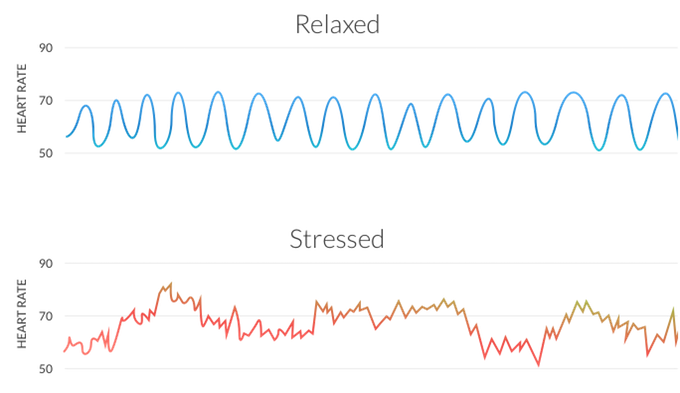 استرس و آزمایش خون : اثر استرس بر فشار خون و ضربان قلب