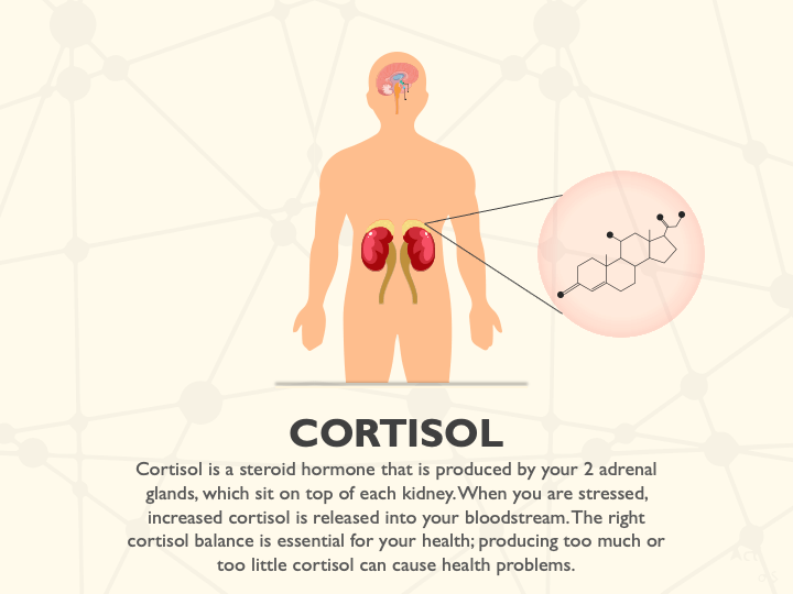 کورتیزول و ملاتونین