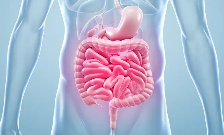 آزمایش سلامت روده