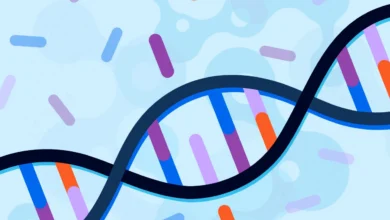 اختلالات متیلاسیون MTHFR